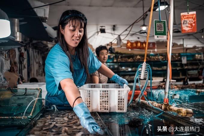 海鲜冷暖机一体机价格_海鲜冷暖机温度降不下来_海鲜冷暖机